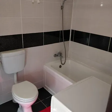 Mansarda Brancoveanu Apartment *